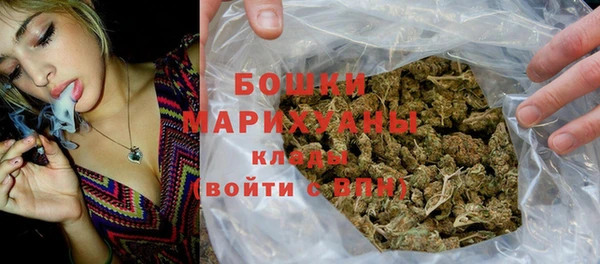 ешки Бронницы