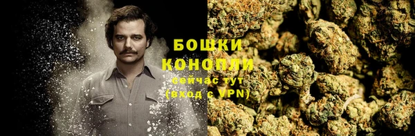 ешки Бородино