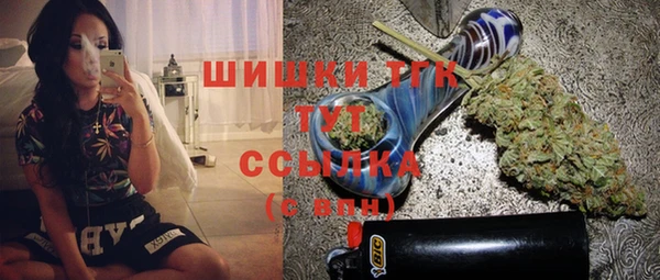 ешки Бородино
