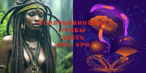 стаф Хадыженск